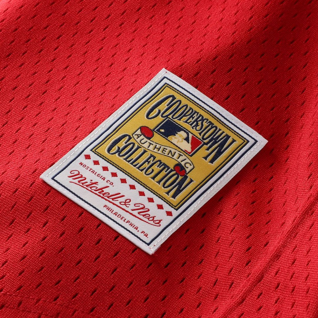 Ozzie Smith St. Louis Cardinals Mitchell & Ness Youth Cooperstown Collection Mesh Batting Practice Jersey - Navy Official MLB Team Apparel Baseball Fa