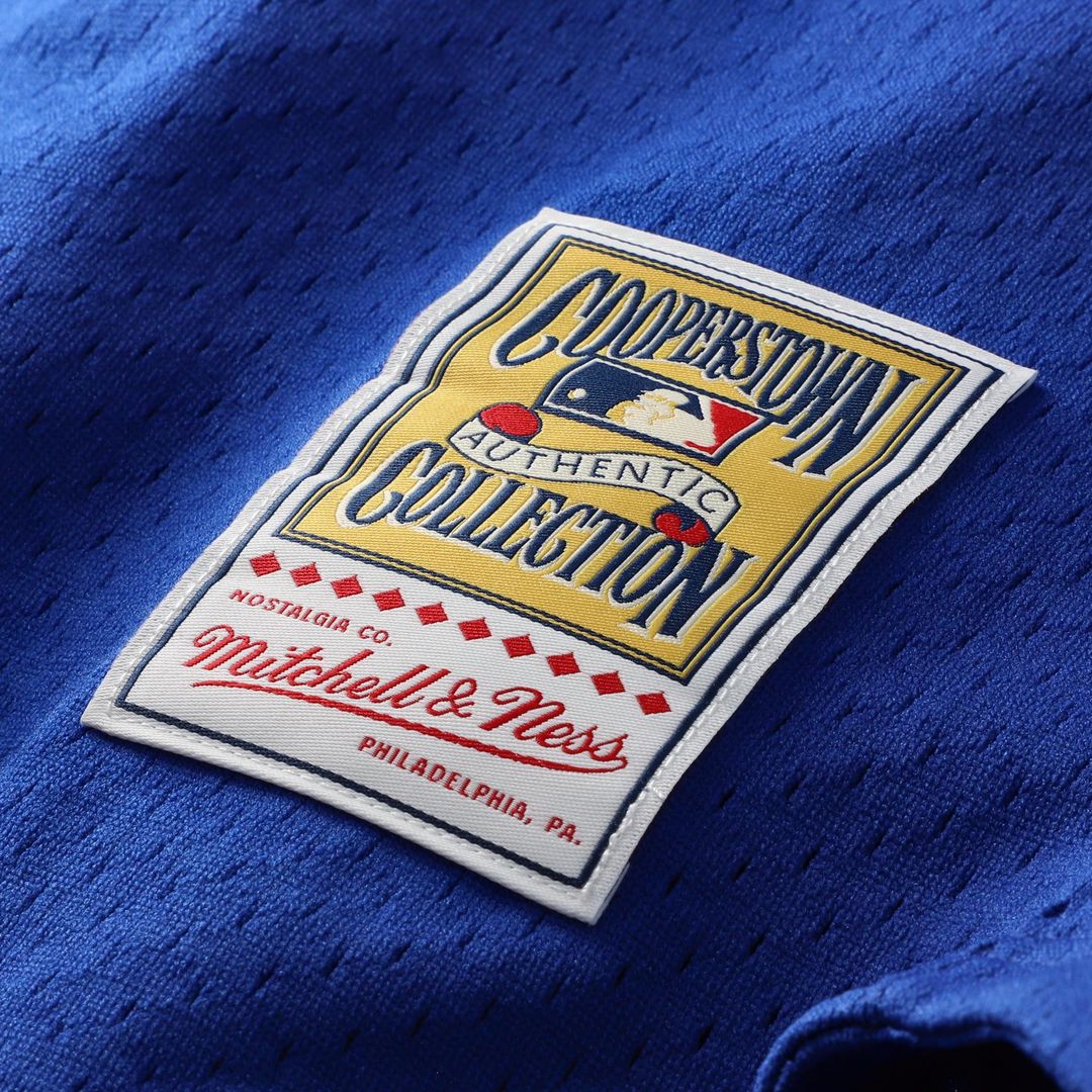 Mike Piazza Los Angeles Dodgers Mitchell & Ness Cooperstown Collection Mesh Batting Practice Button-Up Jersey - Royal Official MLB Team Apparel Baseba
