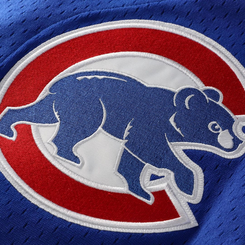 Ryne Sandberg Chicago Cubs Mitchell & Ness Cooperstown Collection 1997 Mesh Batting Practice Button-Up Jersey - Royal Official MLB Team Apparel Baseba