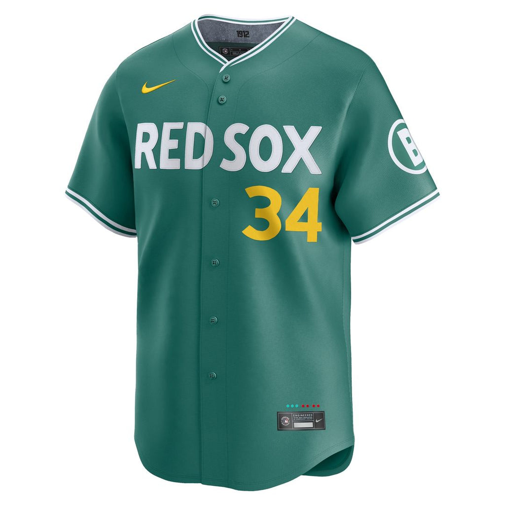 David Ortiz Boston Red Sox Nike 2025 City Connect Limited Retired Player Jersey - Green Official MLB Team Apparel Baseball Fan Gear