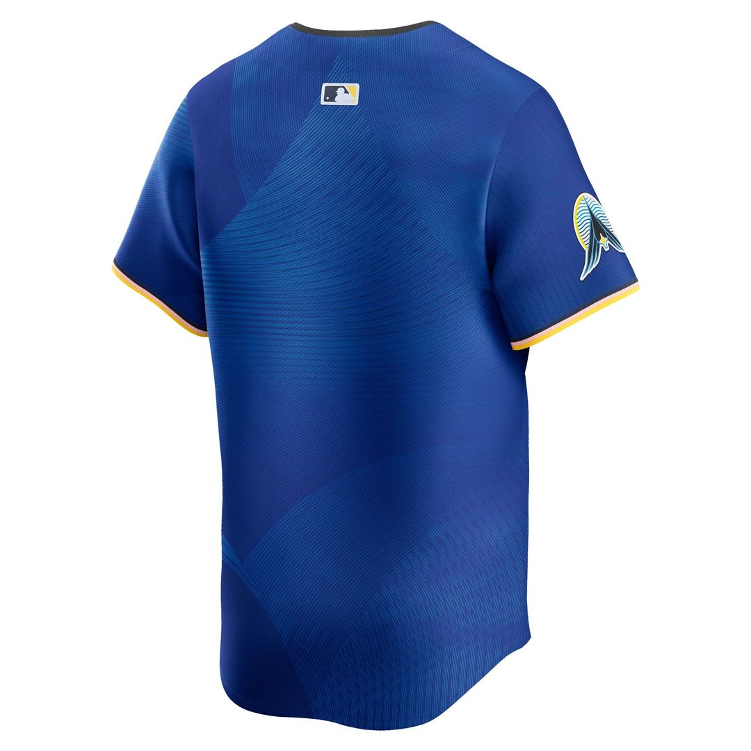 Minnesota Twins Nike City Connect Limited Jersey - Royal Official MLB Team Apparel Baseball Fan Gear