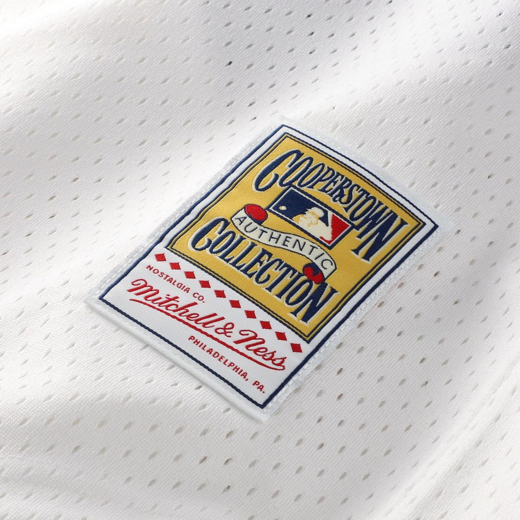 Carlton Fisk Chicago White Sox Mitchell & Ness Authentic Batting Practice Jersey - White Official MLB Team Apparel Baseball Fan Gear