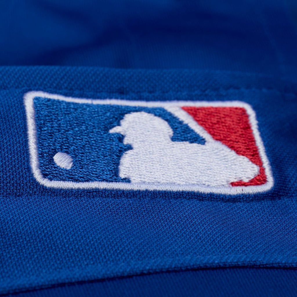 Adrian Beltre Texas Rangers Mitchell & Ness Cooperstown Mesh Batting Practice Button-Up Jersey - Royal Official MLB Team Apparel Baseball Fan Gear