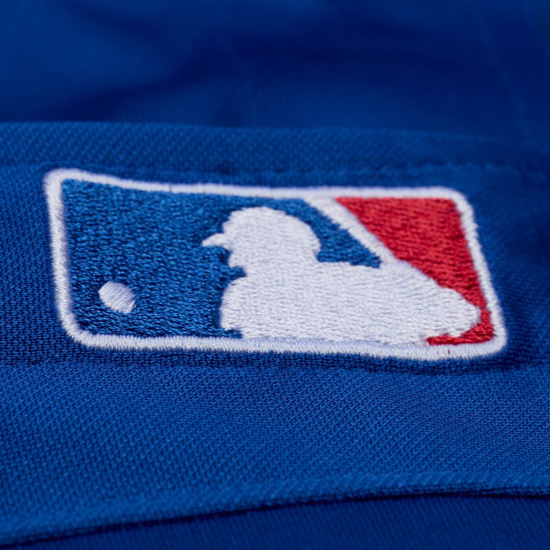 Adrian Beltre Texas Rangers Mitchell & Ness Cooperstown Mesh Batting Practice Button-Up Jersey - Royal Official MLB Team Apparel Baseball Fan Gear