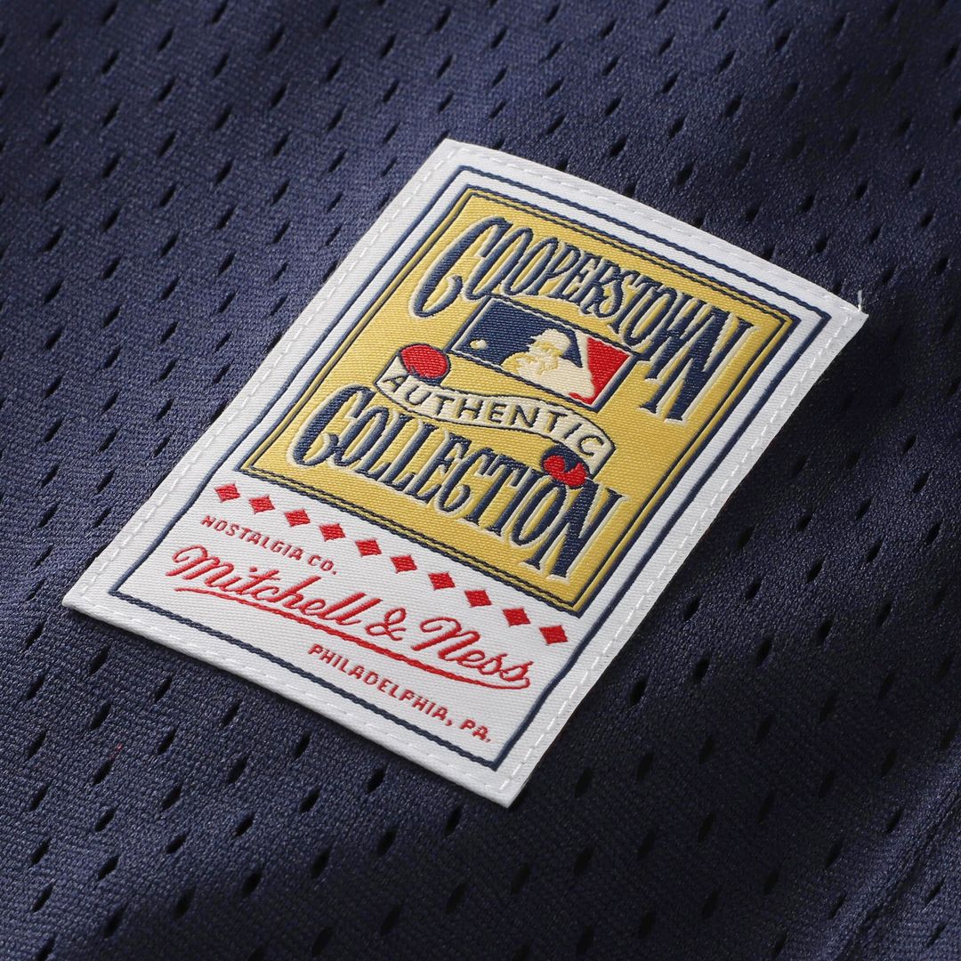 David Ortiz Minnesota Twins Mitchell & Ness Youth Cooperstown Collection Mesh Batting Practice Jersey - Navy Official MLB Team Apparel Baseball Fan Ge