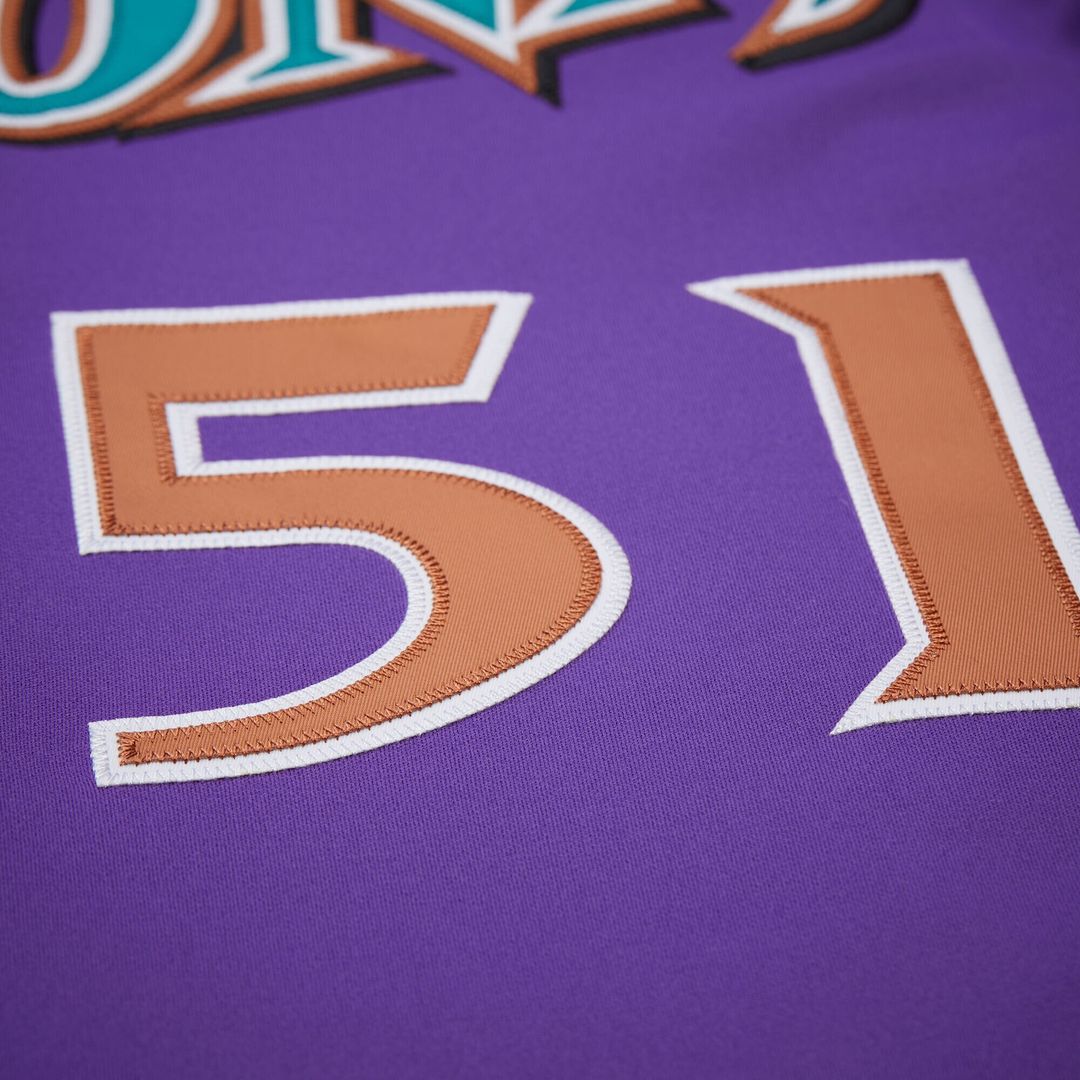 Randy Johnson Arizona Diamondbacks Mitchell & Ness 2000 Throwback Authentic Jersey - Purple Official MLB Team Apparel Baseball Fan Gear