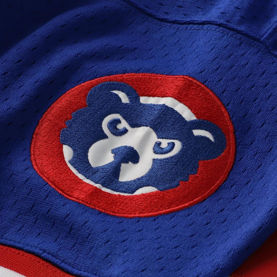Ryne Sandberg Chicago Cubs Mitchell & Ness Cooperstown Collection 1996 Mesh Batting Practice Button-Up Jersey - Royal Official MLB Team Apparel Baseba