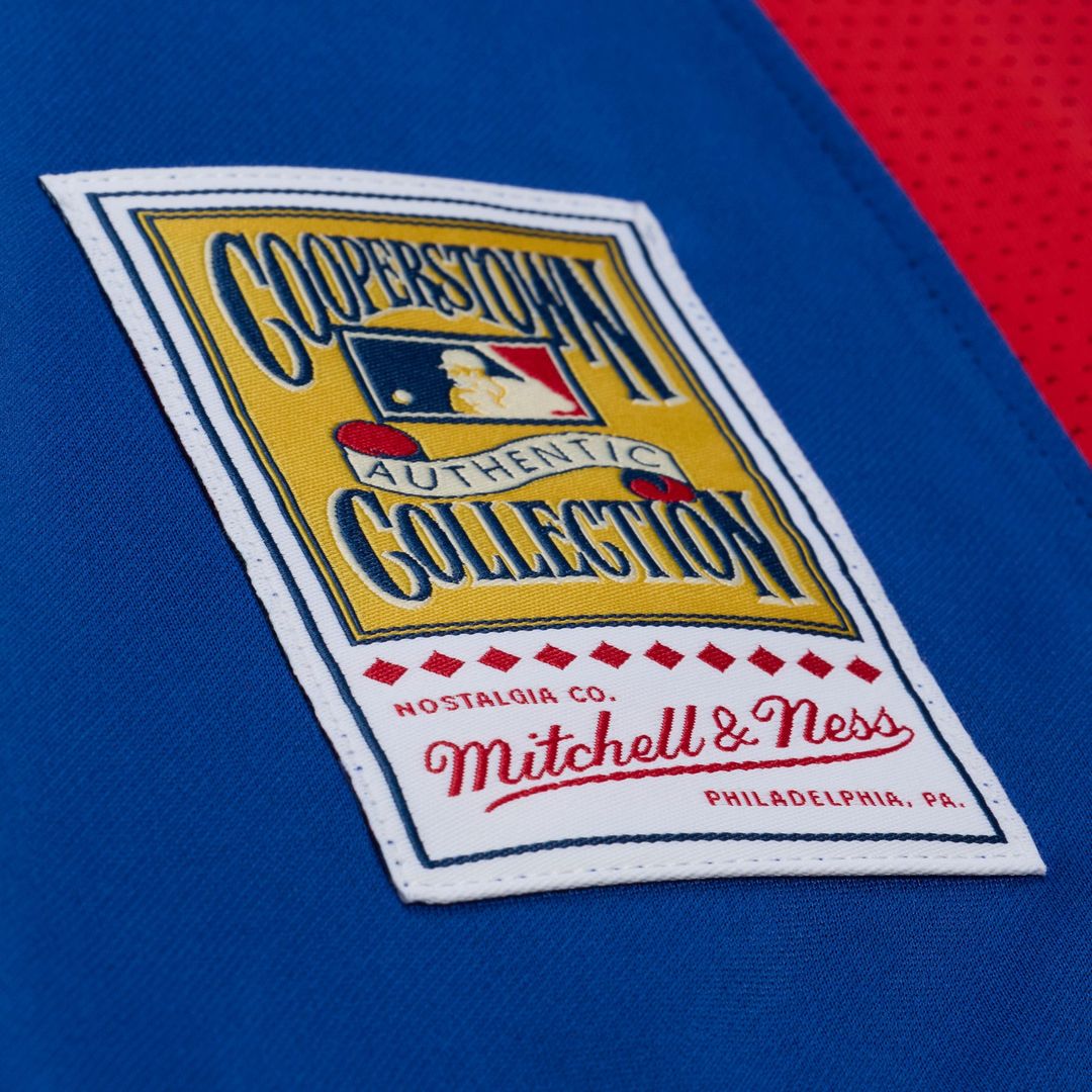 Adrian Beltre Texas Rangers Mitchell & Ness Cooperstown Mesh Batting Practice Button-Up Jersey - Royal Official MLB Team Apparel Baseball Fan Gear