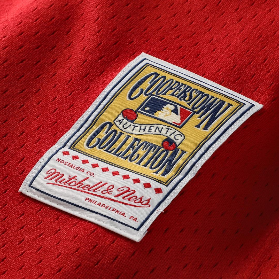 Johnny Bench Cincinnati Reds Mitchell & Ness Cooperstown Collection Big & Tall Mesh Batting Practice Jersey - Red Official MLB Team Apparel Baseball F