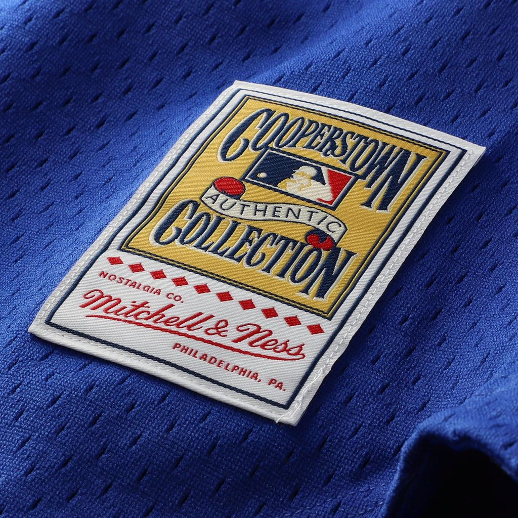 Ryne Sandberg Chicago Cubs Mitchell & Ness Cooperstown Collection 1997 Mesh Batting Practice Button-Up Jersey - Royal Official MLB Team Apparel Baseba