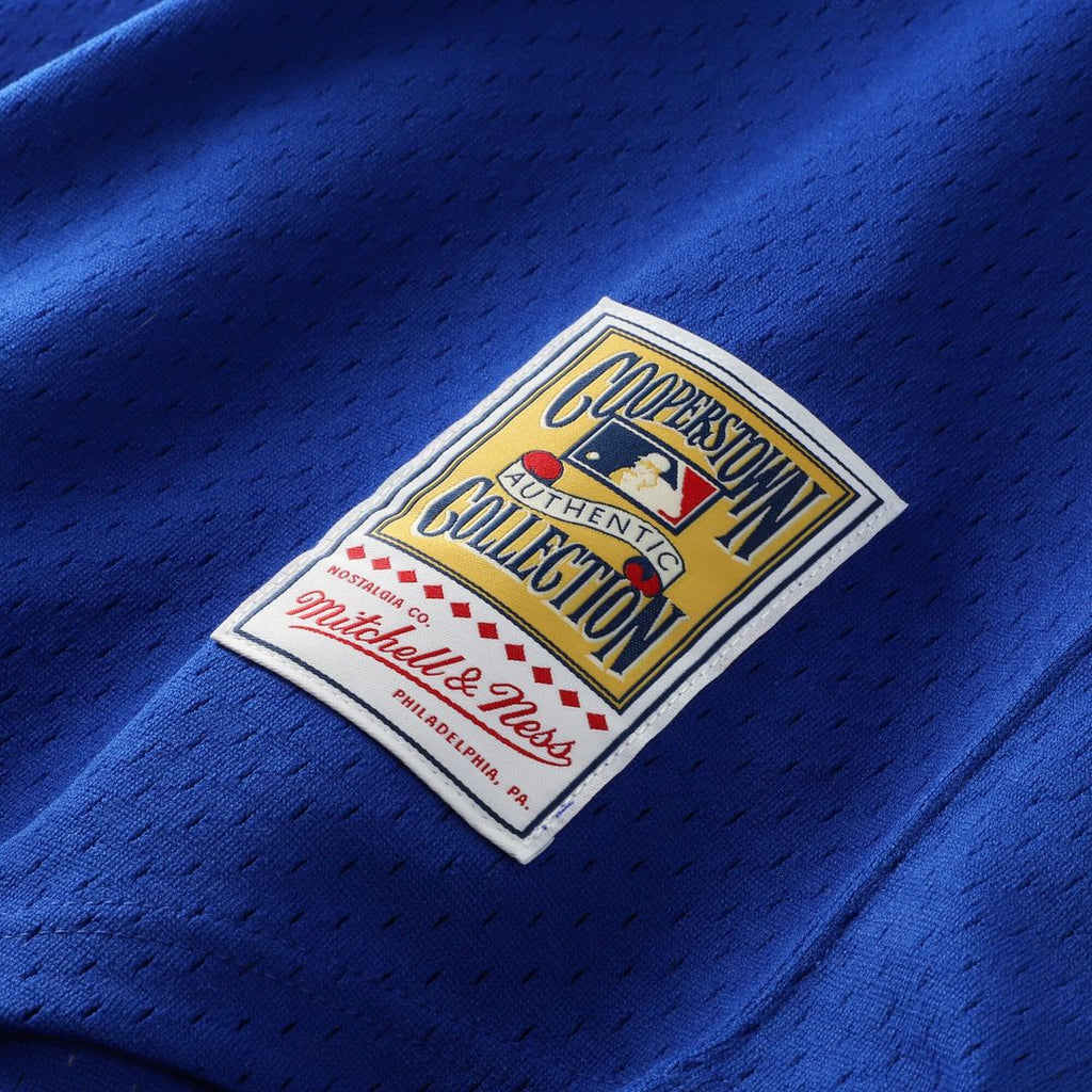 Dale Murphy Atlanta Braves Mitchell & Ness Authentic Batting Practice Jersey - Royal Official MLB Team Apparel Baseball Fan Gear