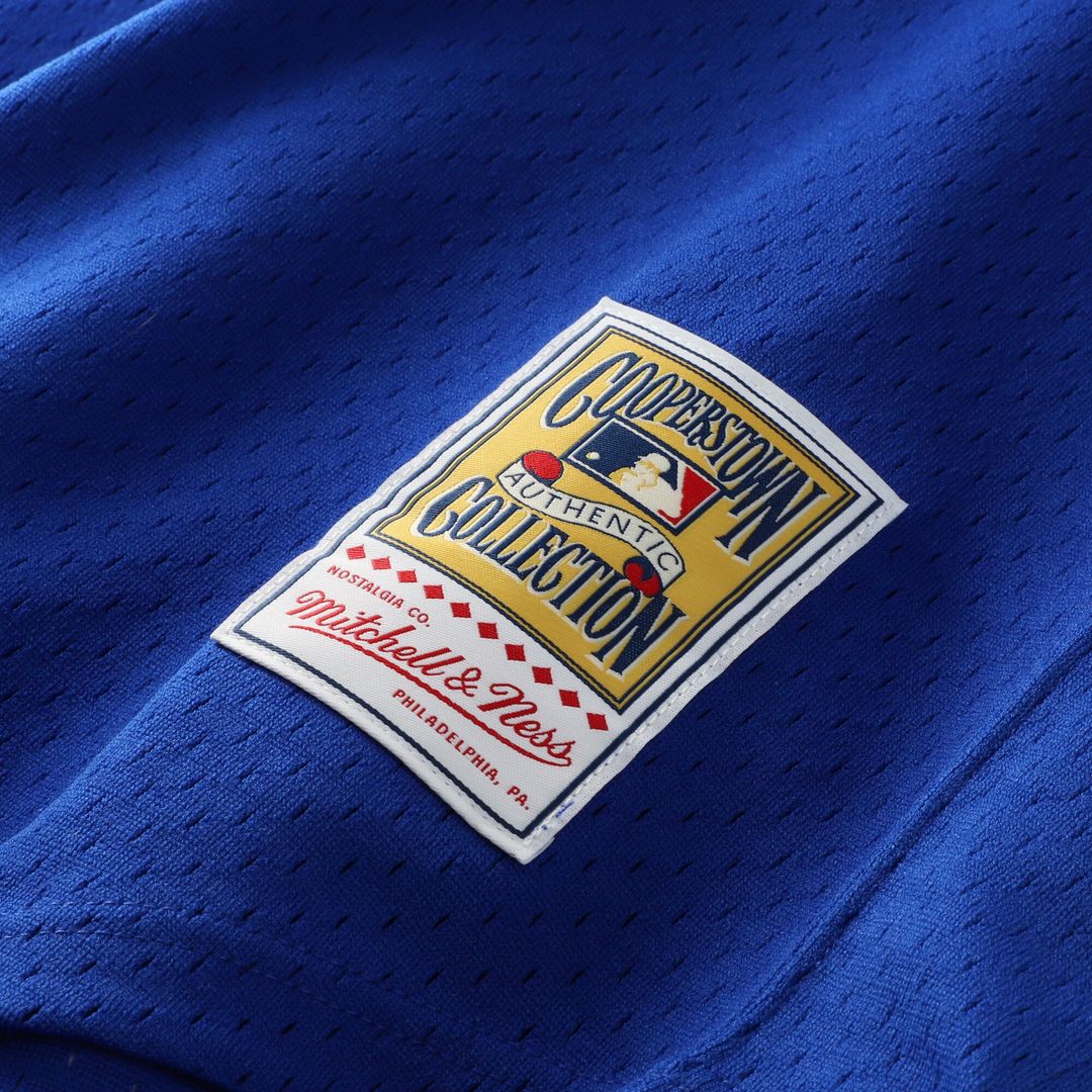 Dale Murphy Atlanta Braves Mitchell & Ness Authentic Batting Practice Jersey - Royal Official MLB Team Apparel Baseball Fan Gear