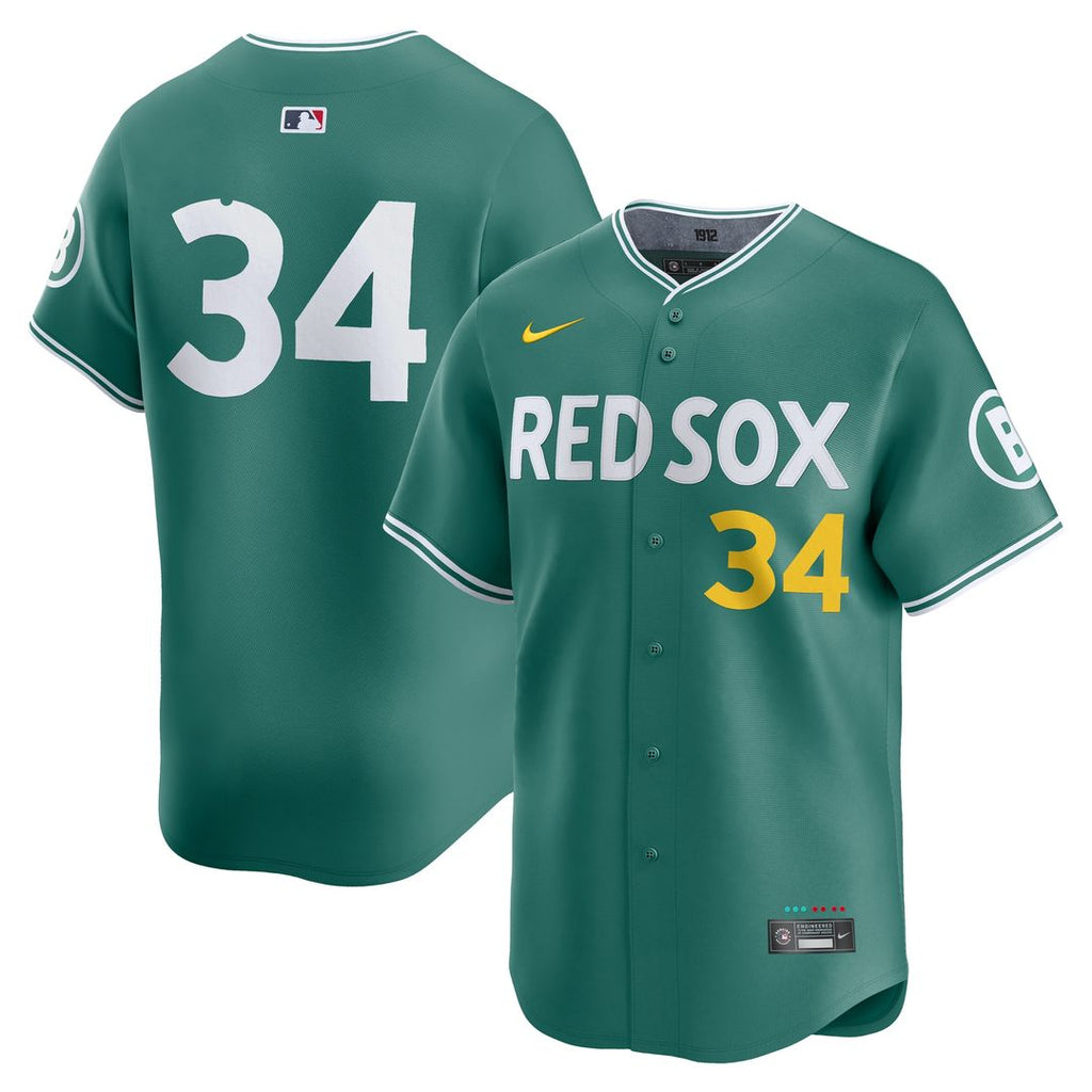 David Ortiz Boston Red Sox Nike 2025 City Connect Limited Retired Player Jersey - Green Official MLB Team Apparel Baseball Fan Gear