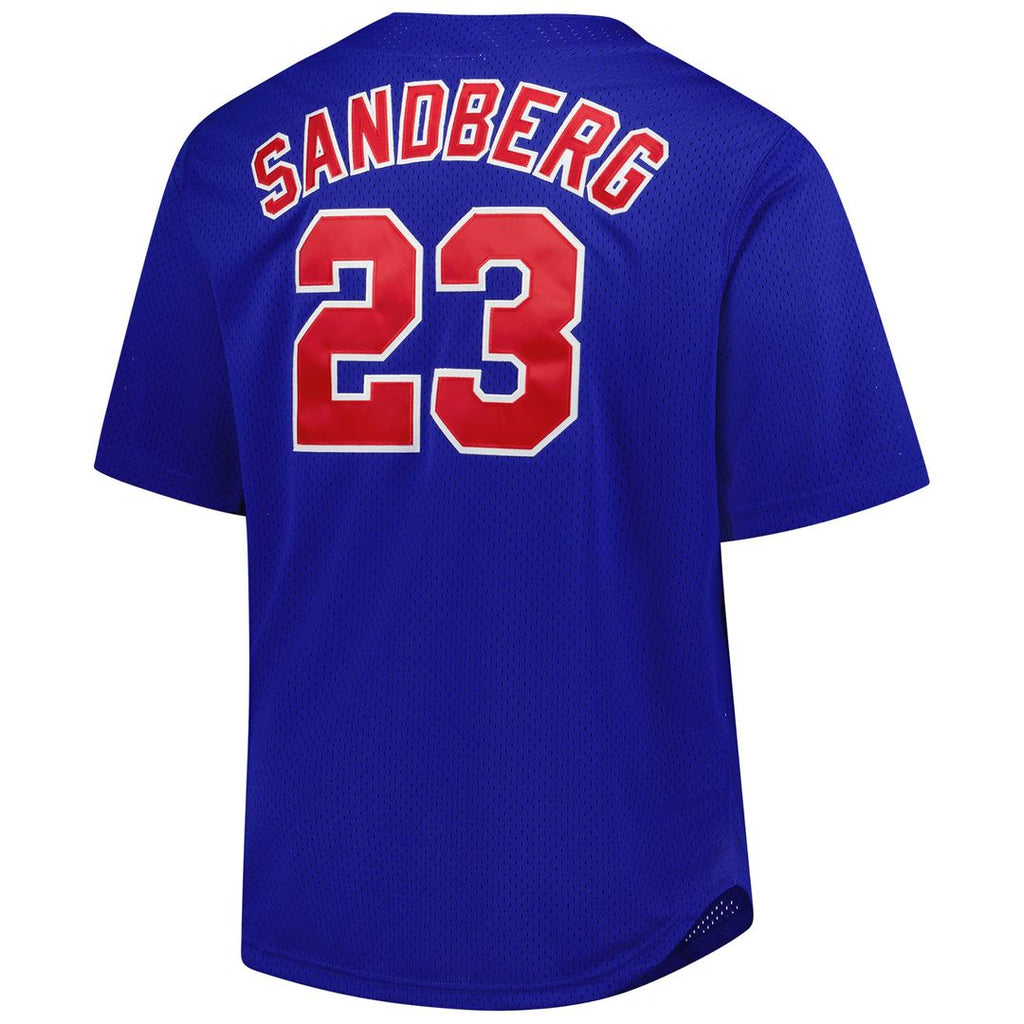 Ryne Sandberg Chicago Cubs Mitchell & Ness Big & Tall Cooperstown Mesh Batting Practice Jersey - Royal Official MLB Team Apparel Baseball Fan Gear