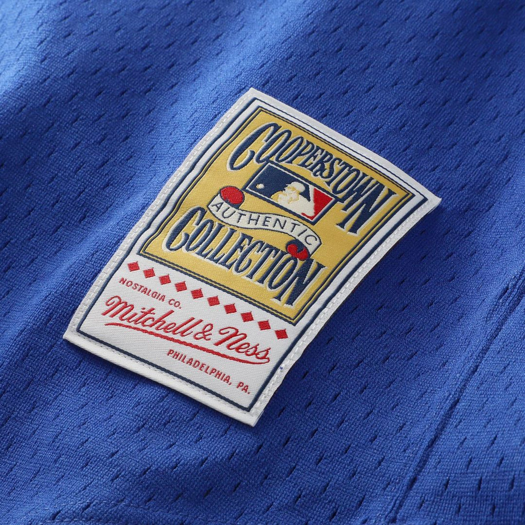 Nolan Ryan Texas Rangers Mitchell & Ness Big & Tall Cooperstown Mesh Batting Practice Jersey - Royal Official MLB Team Apparel Baseball Fan Gear