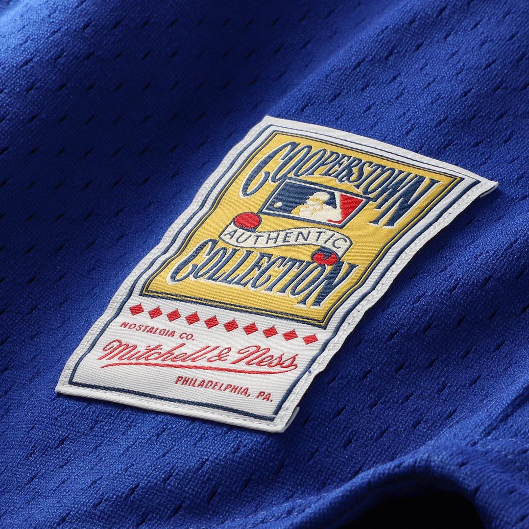 Ryne Sandberg Chicago Cubs Mitchell & Ness Cooperstown Collection 1996 Mesh Batting Practice Button-Up Jersey - Royal Official MLB Team Apparel Baseba