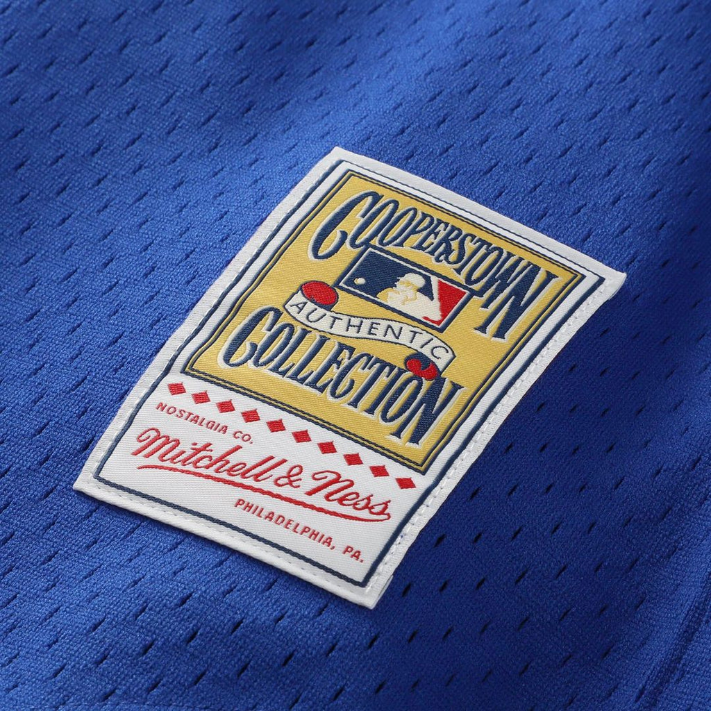 Bo Jackson Kansas City Royals Mitchell & Ness Authentic Batting Practice Jersey - Royal Official MLB Team Apparel Baseball Fan Gear