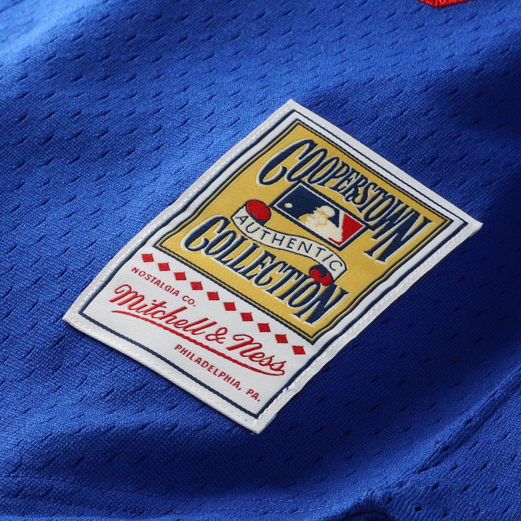 Hideo Nomo Los Angeles Dodgers Mitchell & Ness Big & Tall Cooperstown Collection Mesh Batting Practice Jersey - Royal Official MLB Team Apparel Baseba