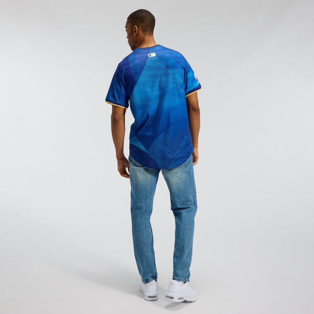 Minnesota Twins Nike City Connect Limited Jersey - Royal Official MLB Team Apparel Baseball Fan Gear