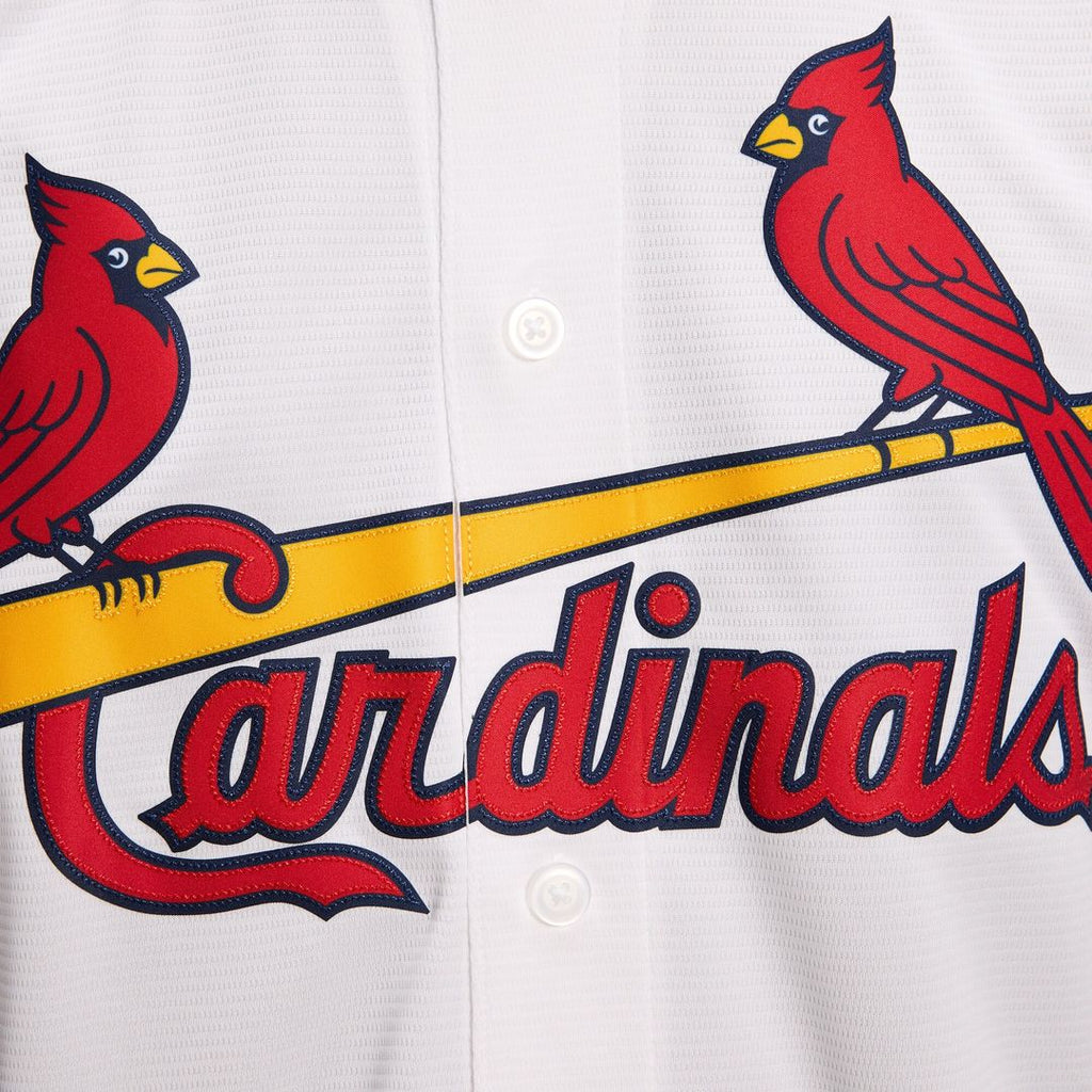 Masyn Winn St. Louis Cardinals Nike Alternate Replica Jersey - Light Blue Official MLB Team Apparel Baseball Fan Gear