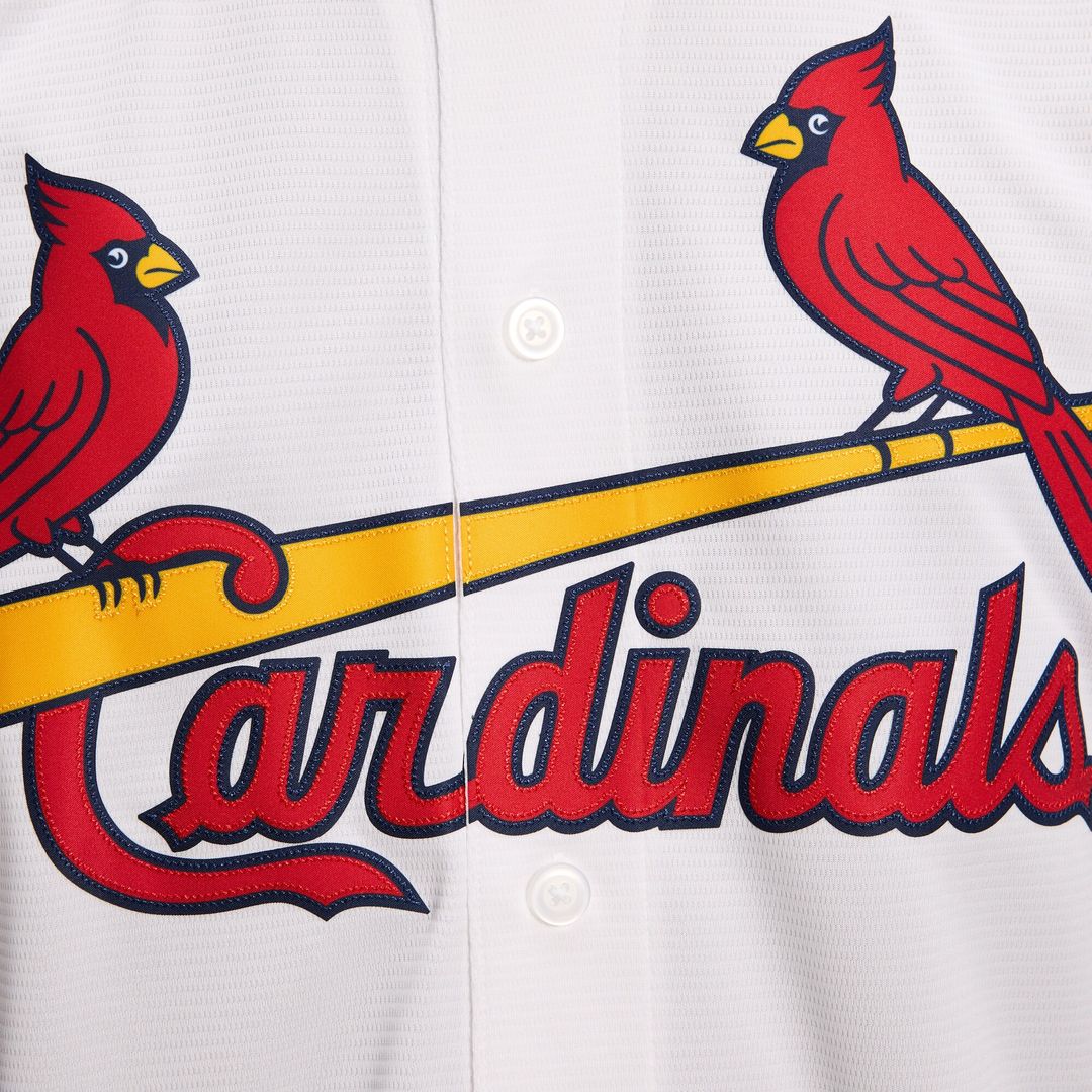 Masyn Winn St. Louis Cardinals Nike Alternate Replica Jersey - Light Blue Official MLB Team Apparel Baseball Fan Gear
