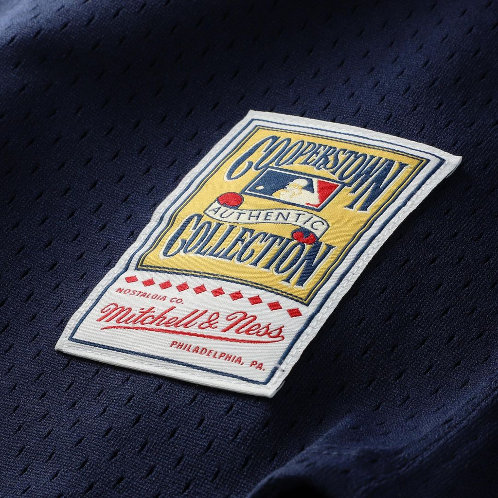 Carlton Fisk Chicago White Sox Mitchell & Ness Authentic Batting Practice Jersey - White Official MLB Team Apparel Baseball Fan Gear