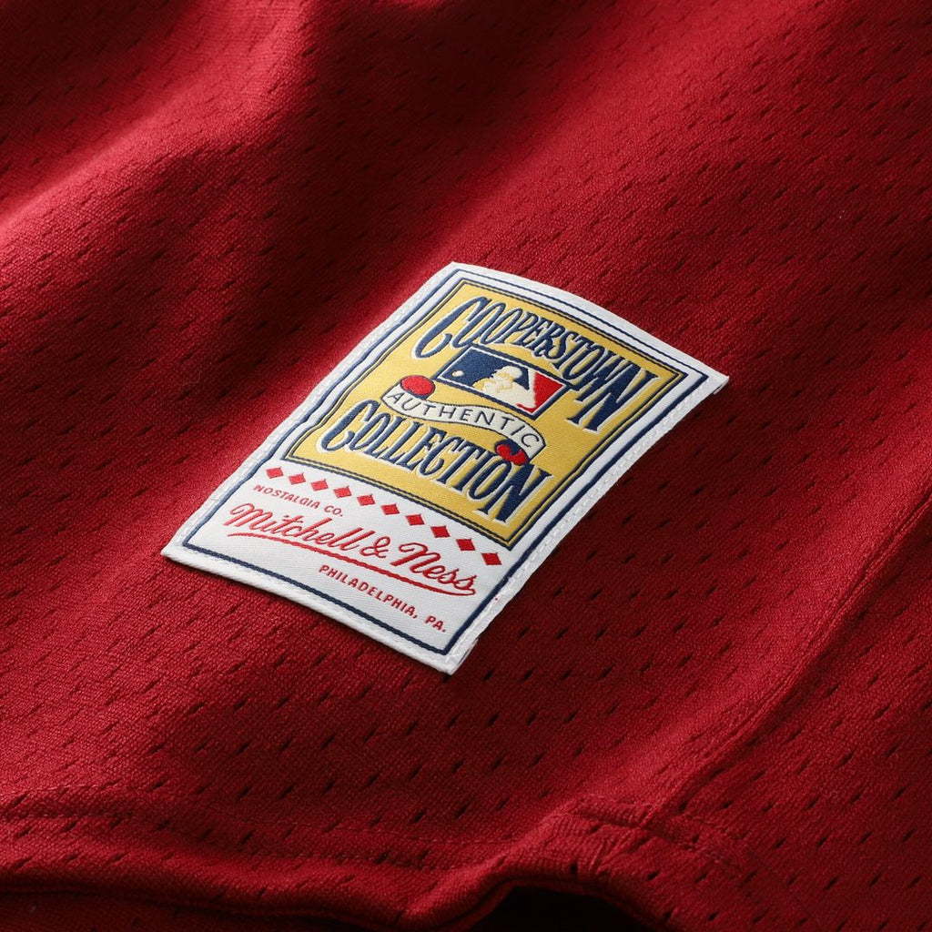 Darren Daulton Philadelphia Phillies Mitchell & Ness Authentic Batting Practice Jersey - Scarlet Official MLB Team Apparel Baseball Fan Gear