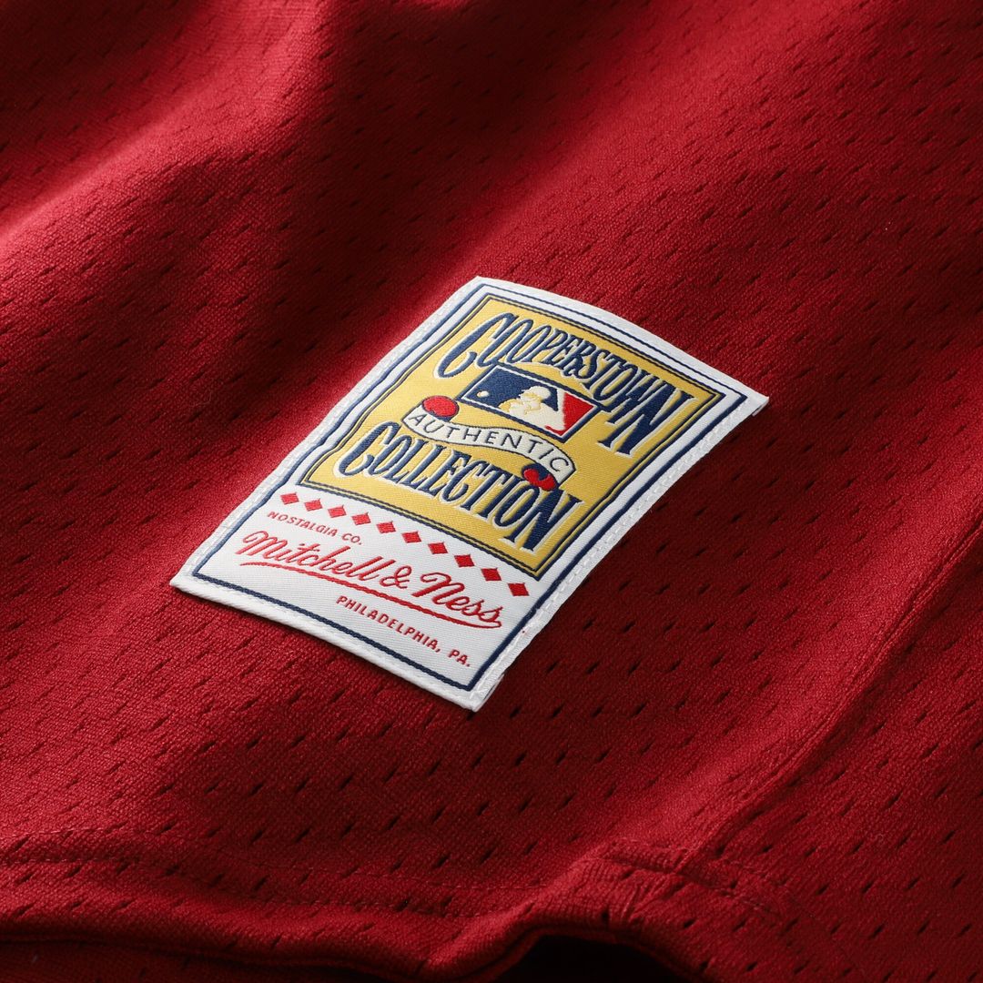 Darren Daulton Philadelphia Phillies Mitchell & Ness Authentic Batting Practice Jersey - Scarlet Official MLB Team Apparel Baseball Fan Gear